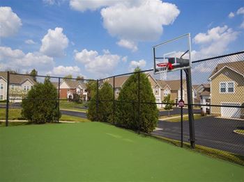 Basketball court